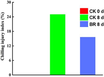 Revealing the Specific Regulations of Brassinolide on Tomato Fruit Chilling Injury by Integrated Multi-Omics